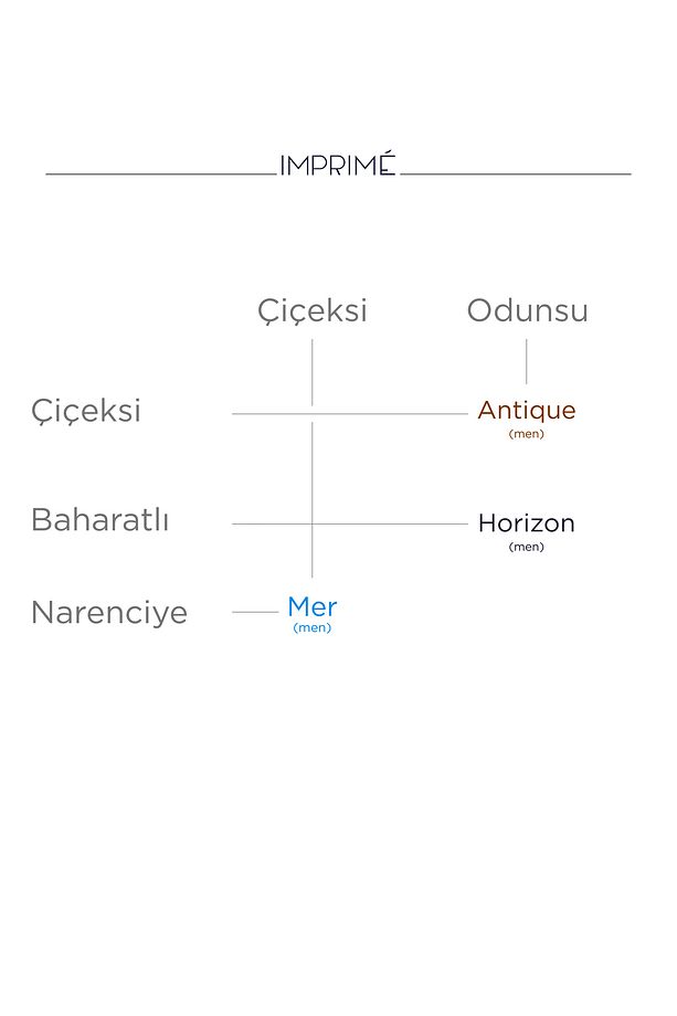 Mini Parfüm Deneme Seti 3 X 2 ml Erkek Seti ( Mer I Antique I Horizon ) - 4