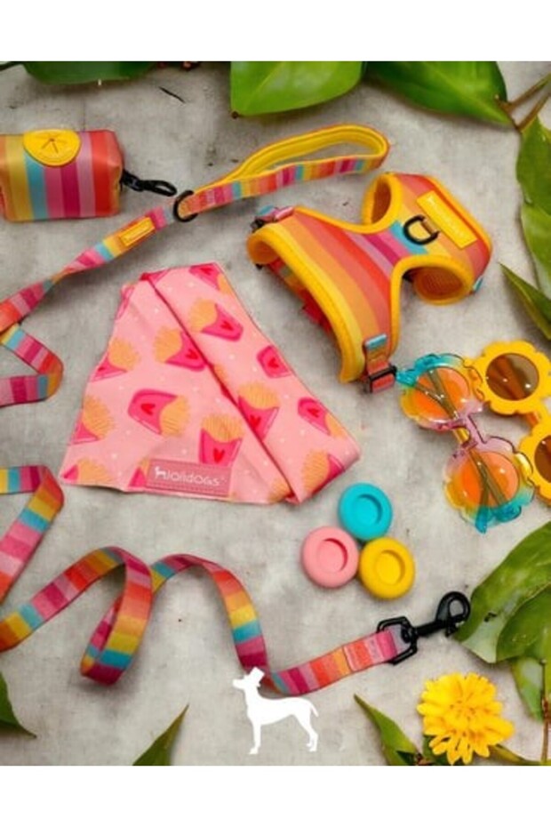 Rainbow Harness Set - 3