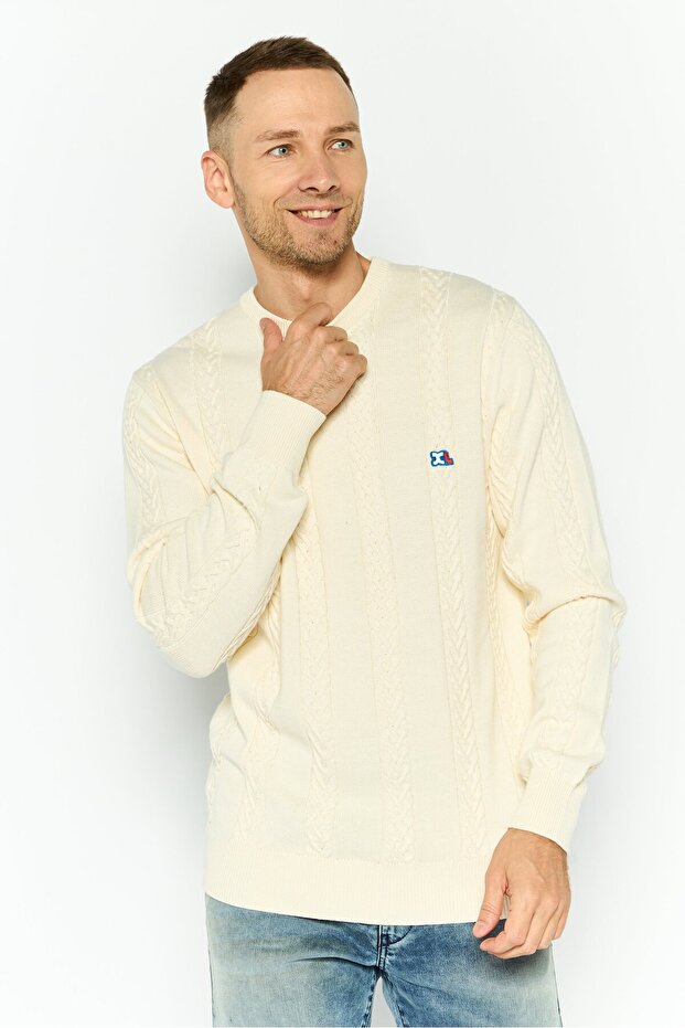 Men Crew Neck Embroidered Print Long Sleeves Sweater, Beige