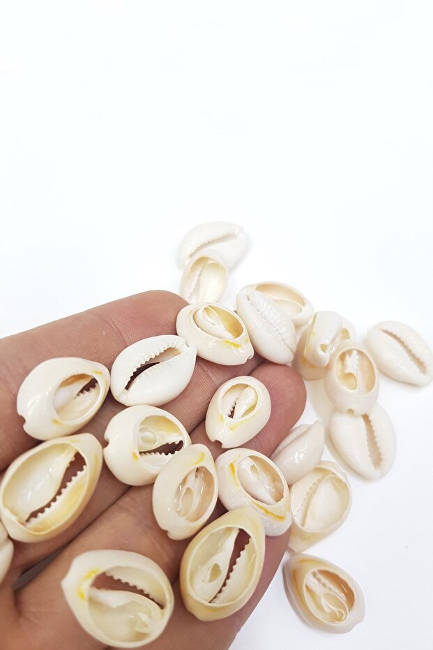 Conch Shell Greyhound Bead - 1