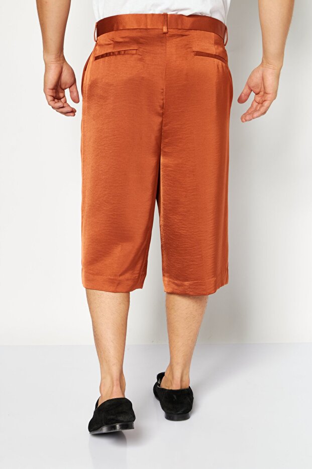 Men Regular Fit Solid Satin Basic Short, Brown - 2