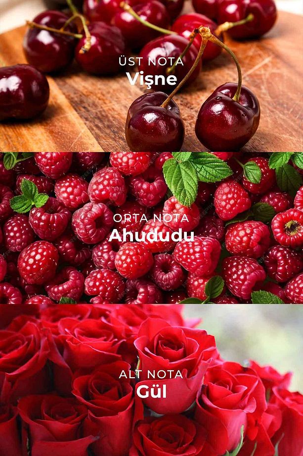 Manolya Kiraz Çubuklu Oda Kokusu Magnolia Cherry Reed Diffuser 100ml - 4
