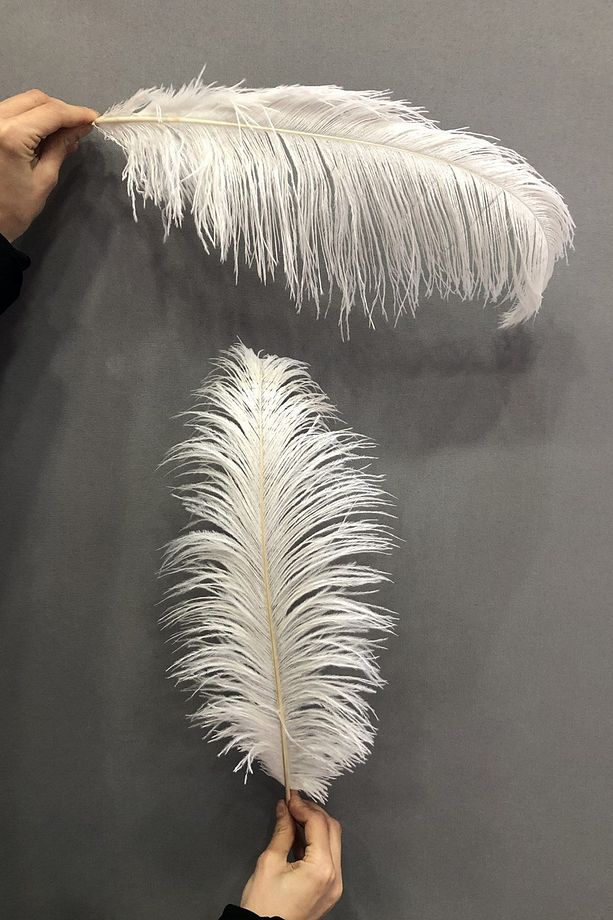Krem Deve Kuşu Tüyü 45-50 Cm 1 Adet - 1
