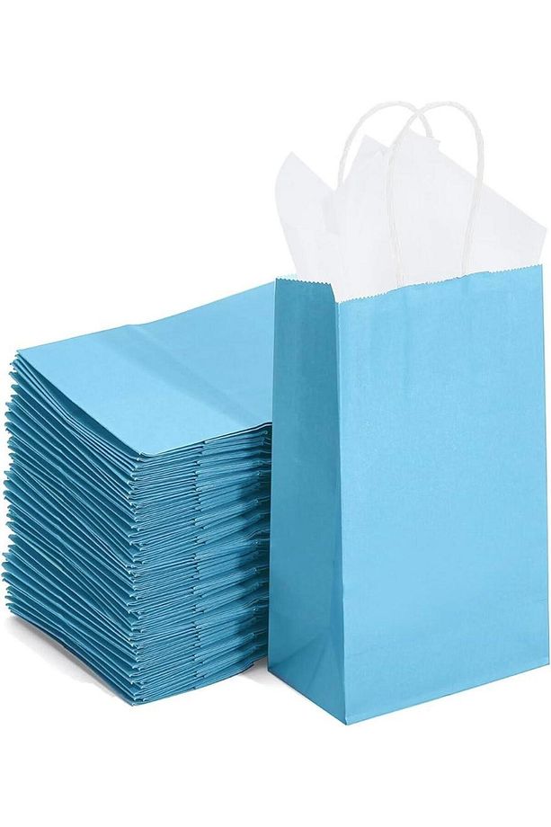 Büküm Saplı Kraft Kağıt Çanta Karton Hediyelik Poşet Torba - Açık Mavi -18x24 Cm. - 10 Adetlik Paket - 6