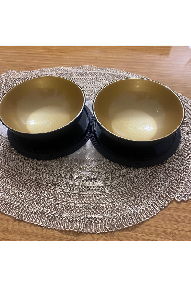 ALEGRA SAKLAMA KABI - 3