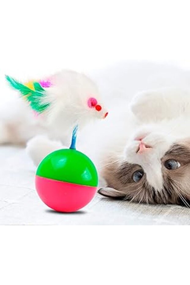 Ecoform Cat Play Ball with Mouse Hacı Yatmaz Cat Toy Hacı Yatmaz