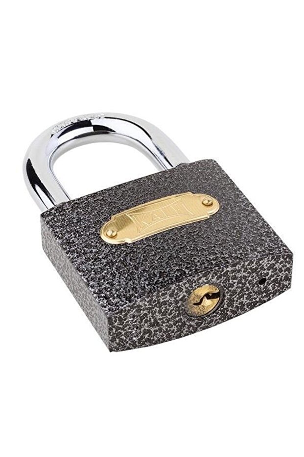 Castle Padlock Casting 50mm