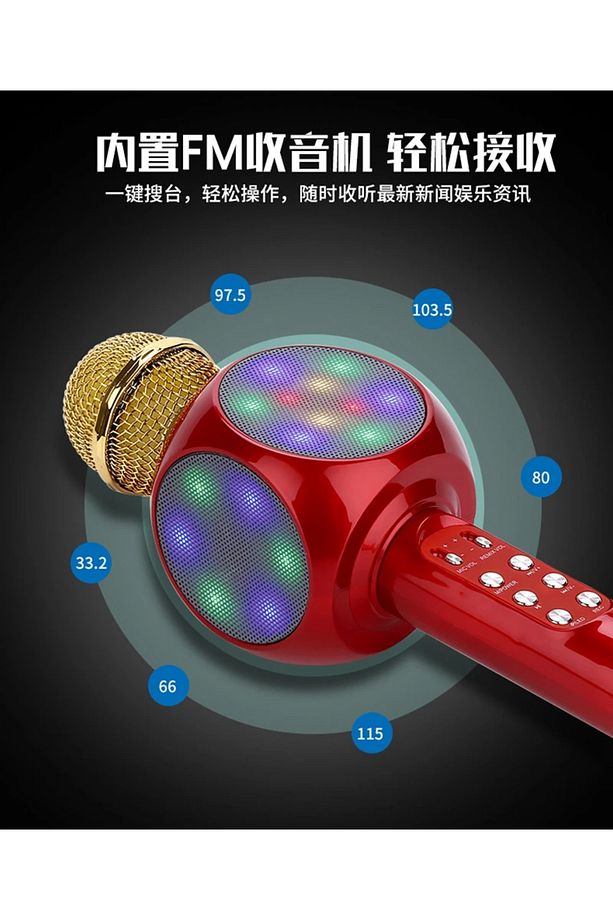 Karaoke Mikrofon Bluetooth Özellikli Çocuk Mikrofonu Karaoke Işıklı Mikrofon 1816 Kırmızı - 3