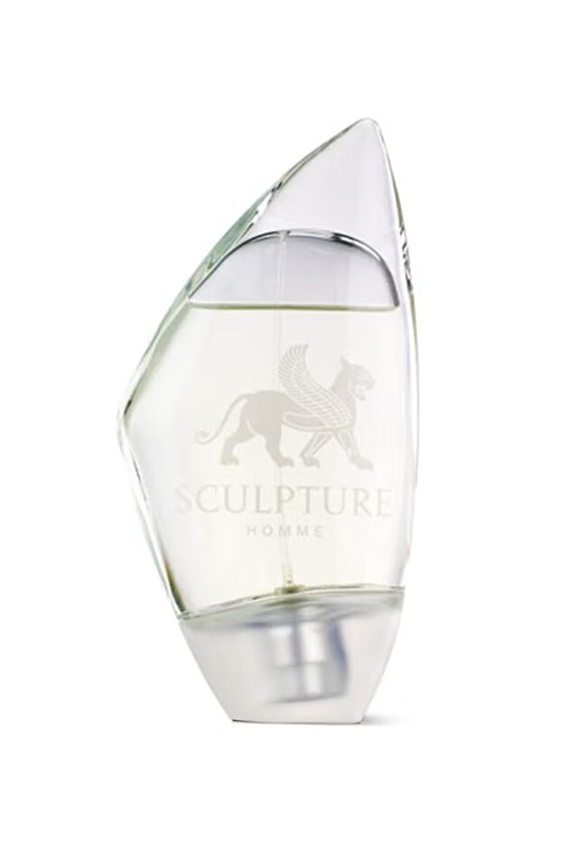 Sculpture Homme EDT 100ml