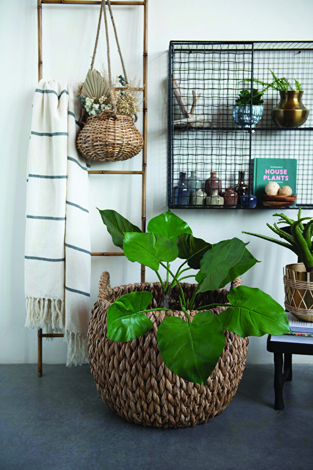 8'li Set Vazolar - 7