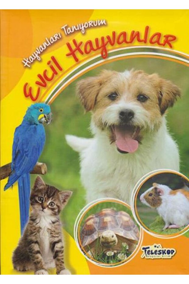 أنا أعرف الحيوانات الحيوانات الأليفة - 1