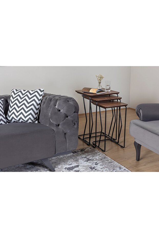 REN ZİGON SEHPA - 4