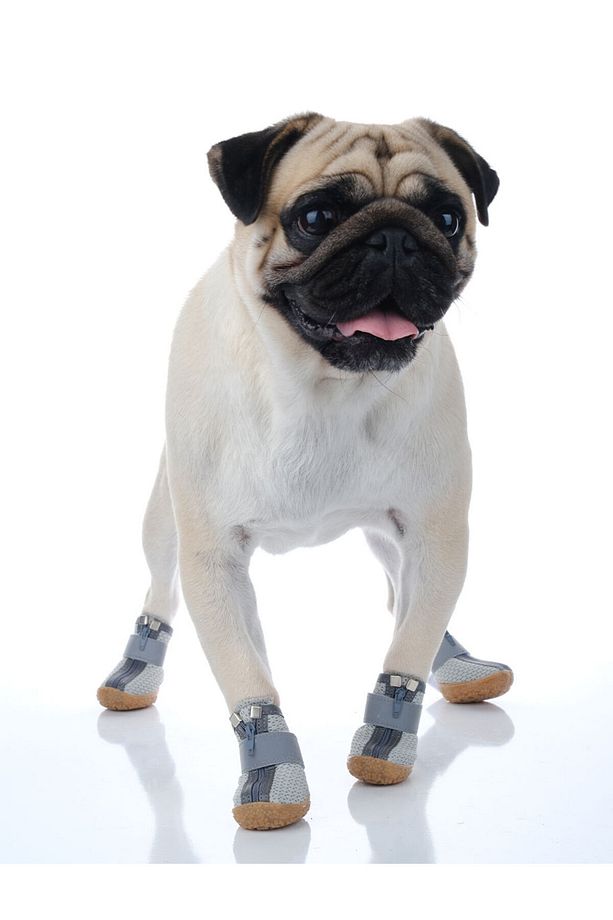 Köpek Ayakkabısı - Reflektörlü, Fermuarlı Köpek Ayakkabısı - Kaydırmaz Kauçuk Taban Köpek Ayakkabısı - 3
