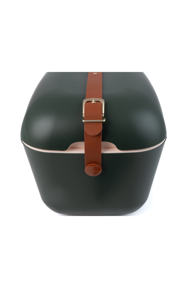 Green Forest Gold 20l - 3