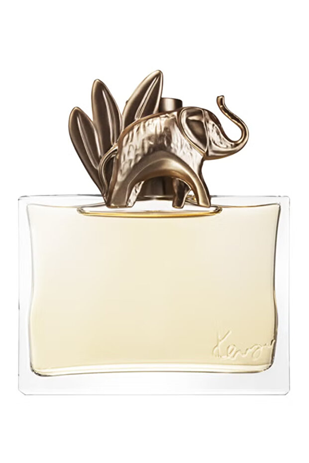 عطر جانجل 100 مل - 2