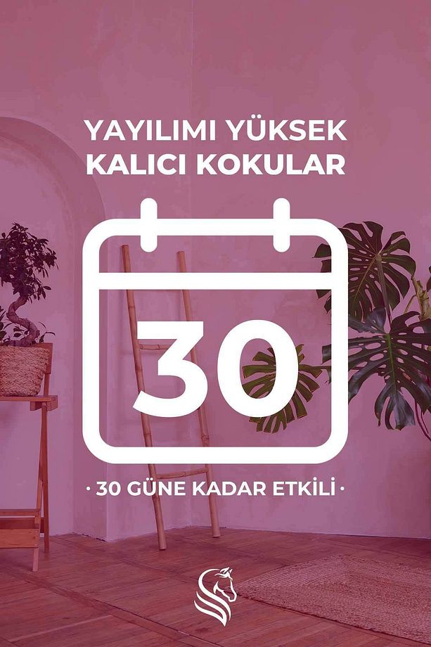 Manolya Kiraz Çubuklu Oda Kokusu Magnolia Cherry Reed Diffuser 100ml - 6