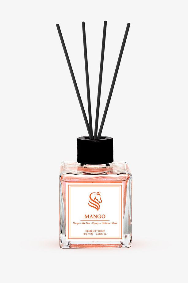 Mango Çubuklu Oda Kokusu Reed Diffuser 100ml - 1