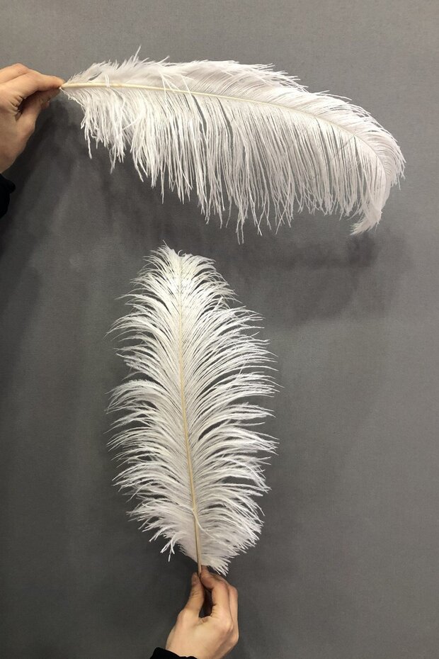 Krem Deve Kuşu Tüyü 25-30 cm 1 adet - 1
