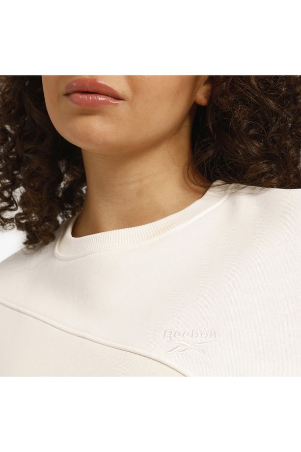 AE VECTOR LAYER Ekru Kadın Sweatshirt - 4