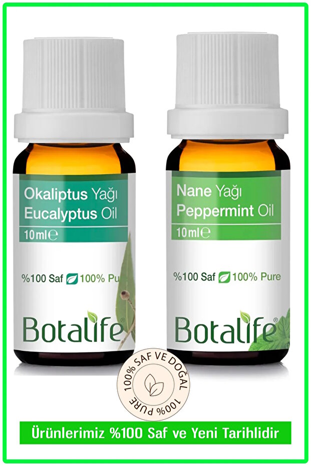 Freshness Series Mint & Eucalyptus Oil 10ml - 100% Pure Essential Oil Set
