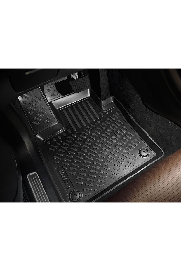 Citroen C-Elysee 2012- Paspas - 3