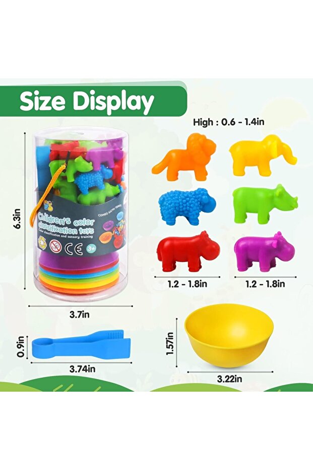 Educational Counting Game - 2