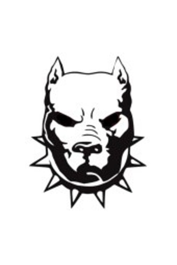 Pitbull Sticker A+Quality 20 X 24 cm Durable
