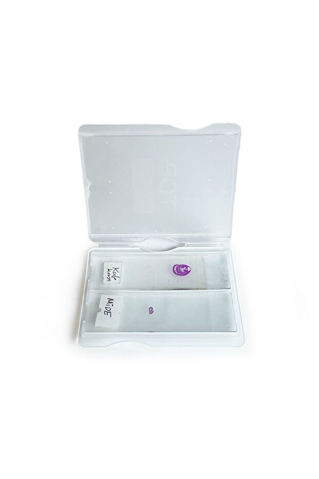 Lam Taşıma Kutusu 2 Lam - 4