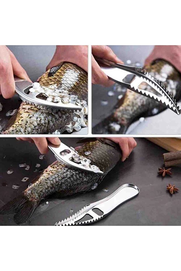 Fish Scale Cleaning Apparatus |   Fish Scale Peeler (Bps-19)