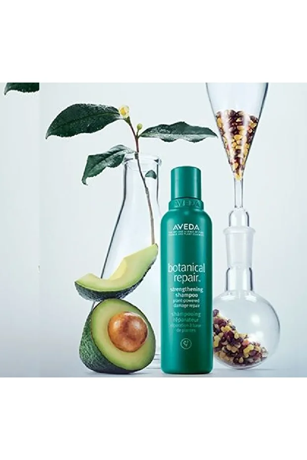 Botanical Repair Onarım Seti - Şampuan 200ml Saç Kremi 200ml Gece Serumu 30ml - 2