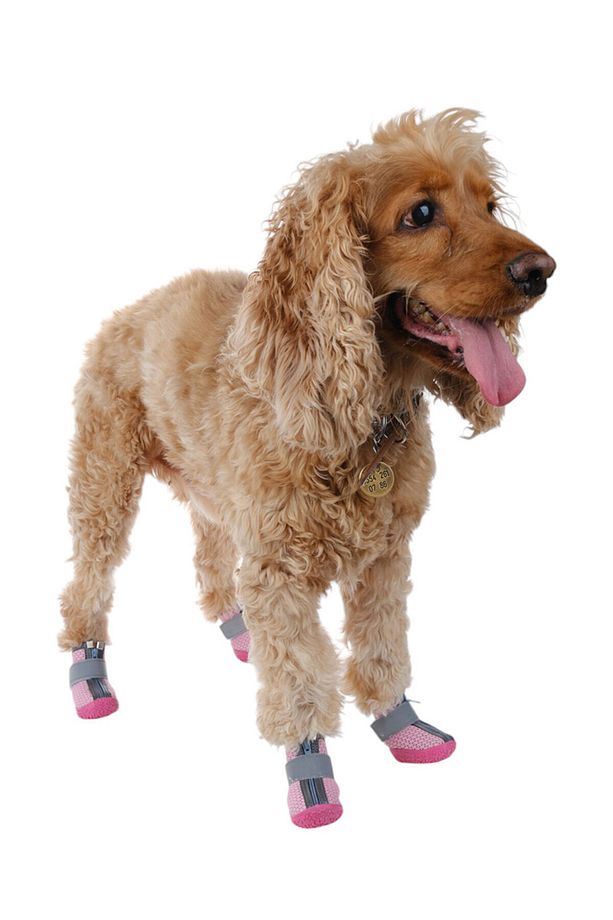 Köpek Ayakkabısı - Reflektörlü Pembe Köpek Ayakkabısı - Kaydırmaz Kauçuk Taban Köpek Ayakkabısı - 3