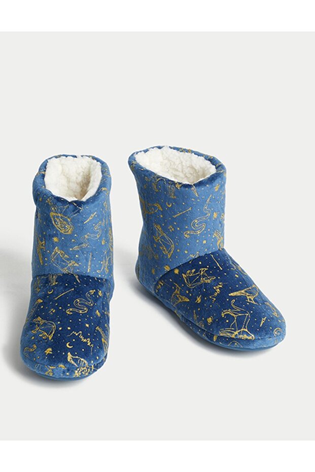 Harry Potter: Ev Botu - 4