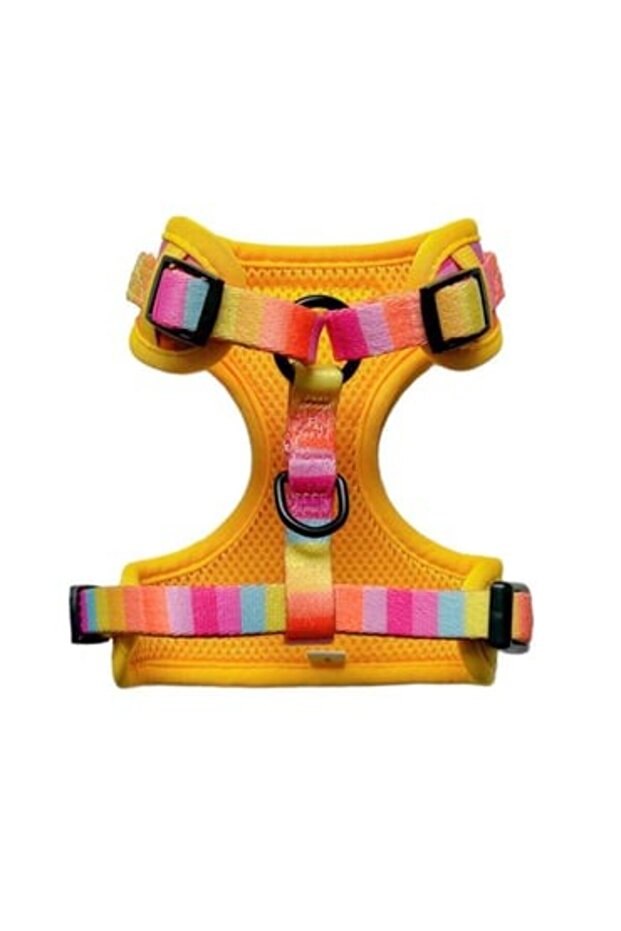 Rainbow Harness Set - 4