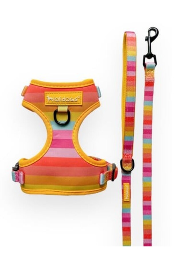 Rainbow Harness Set - 2