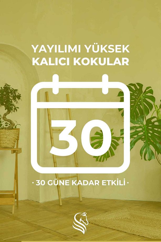 Kavun Çubuklu Oda Kokusu Melon Reed Diffuser 100ml - 4
