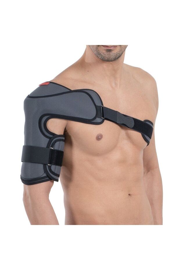 Humerus Breysi - 2
