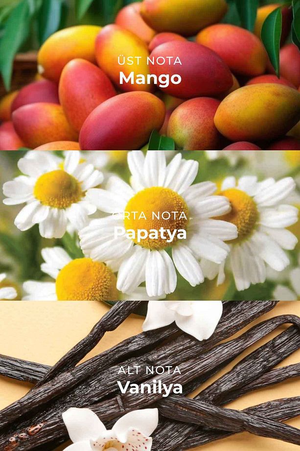 Mango Çubuklu Oda Kokusu Reed Diffuser 100ml - 3