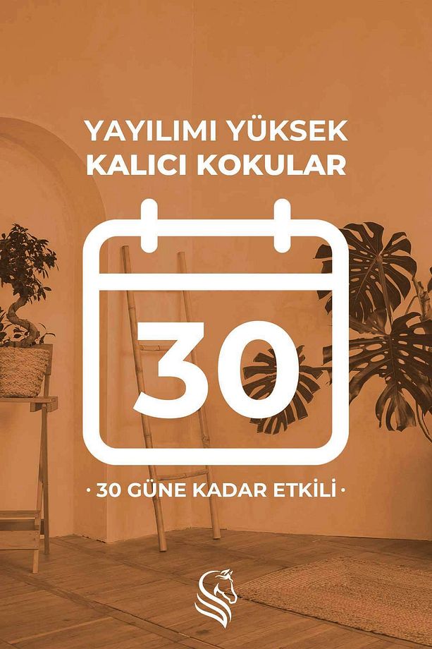 Mango Çubuklu Oda Kokusu Reed Diffuser 100ml - 5