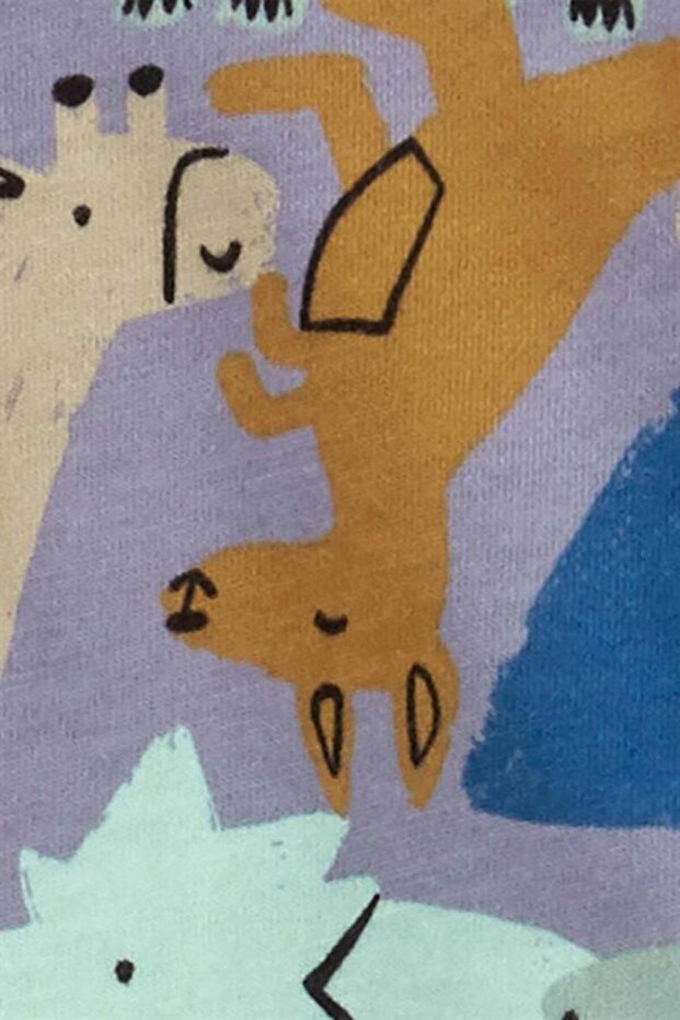 Carters Erkek Bebek 2'li Tulum Set - 3