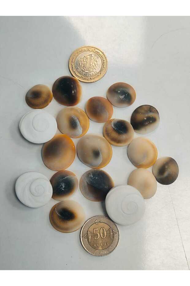 Huge Size Snake Stone 20 Pieces