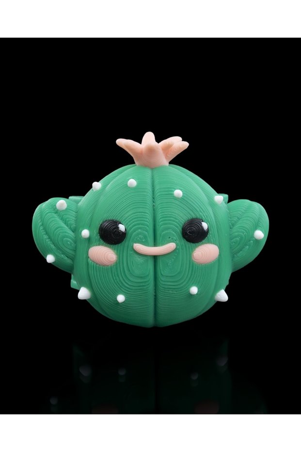 Cactus Shaped Airtag Case (Will Be Sent with Leash)