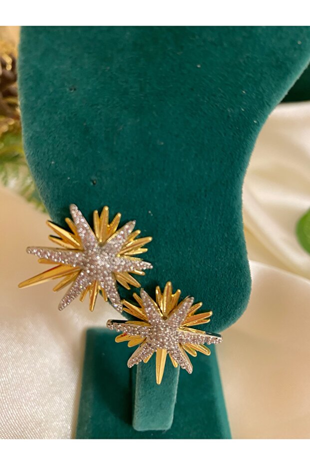 أقراط نموذج النجمة - 1