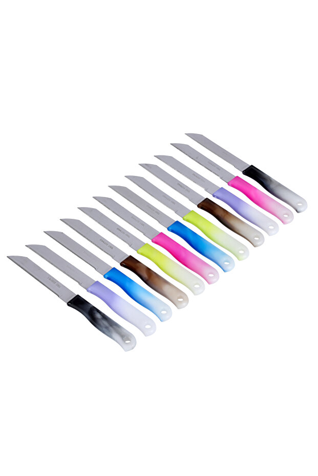 12Pcs Steak Knife Set with Teeth Shape, DC1838