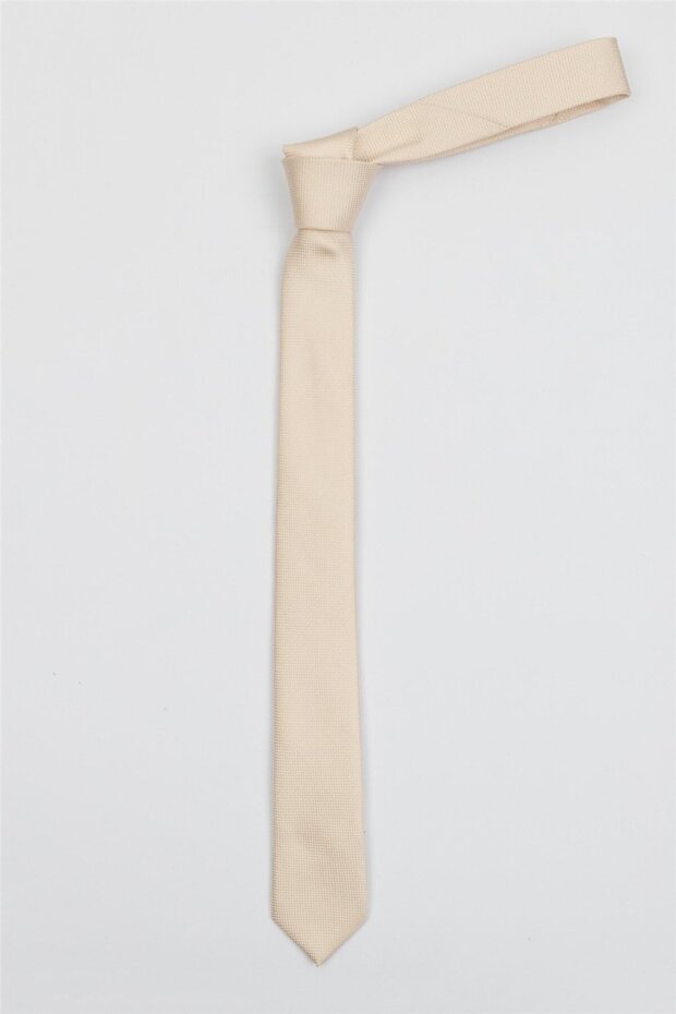 ربطة عنق رجالية منقوشة بشكل جميل من سمك السلمون - 3