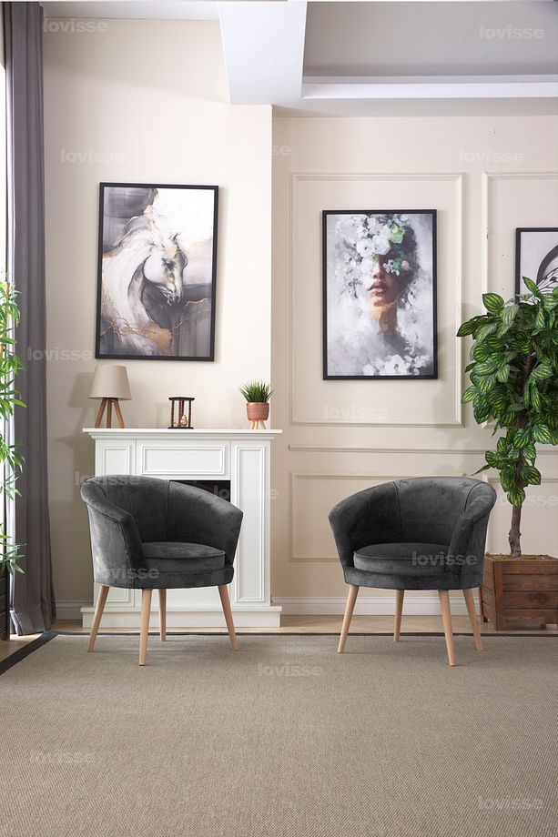 Milano Berjer Set - 2 Adet, Tekli Koltuk, Ofis, Balkon, Bekleme, Çay Seti, Lobi - 2