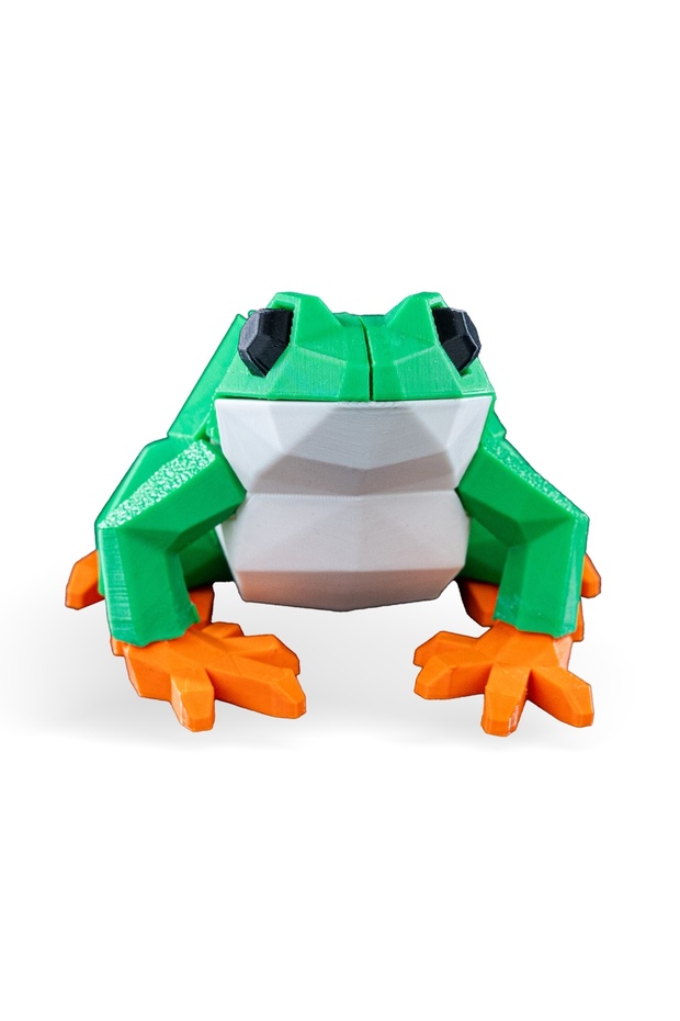 Frog Puzzle Toy (Magnetic)