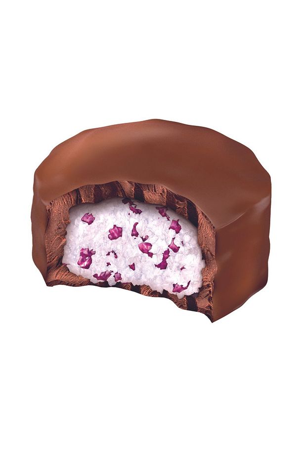 Mini Coco Çikolata Kaplı Meyve Parçacıklı Hindistan Cevizli - 6