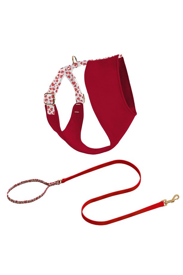 Valentine Soft Köpek Göğüs Tasma Seti - 1