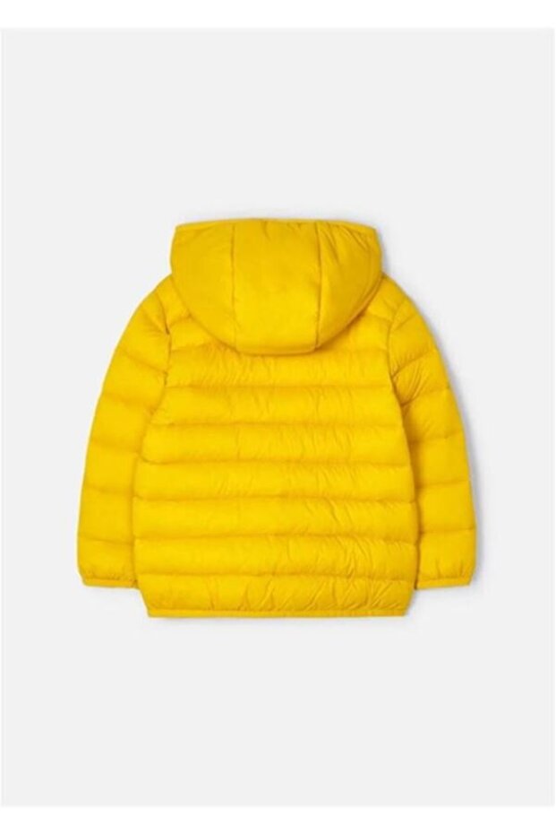 Erkek Çocuk Kapüşonlu Basic Mont 4437 - 3