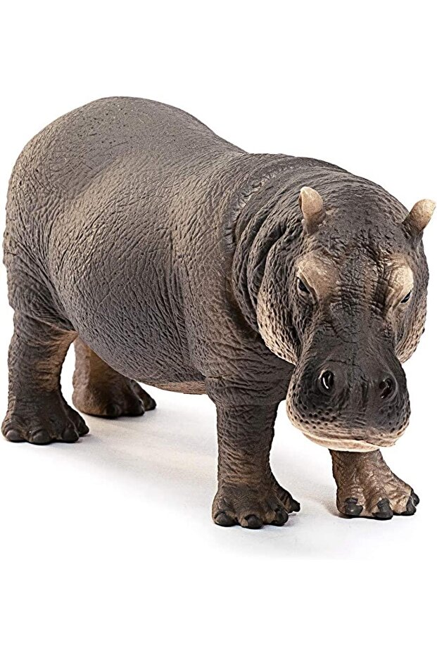 Su Aygırı 14814 - 2